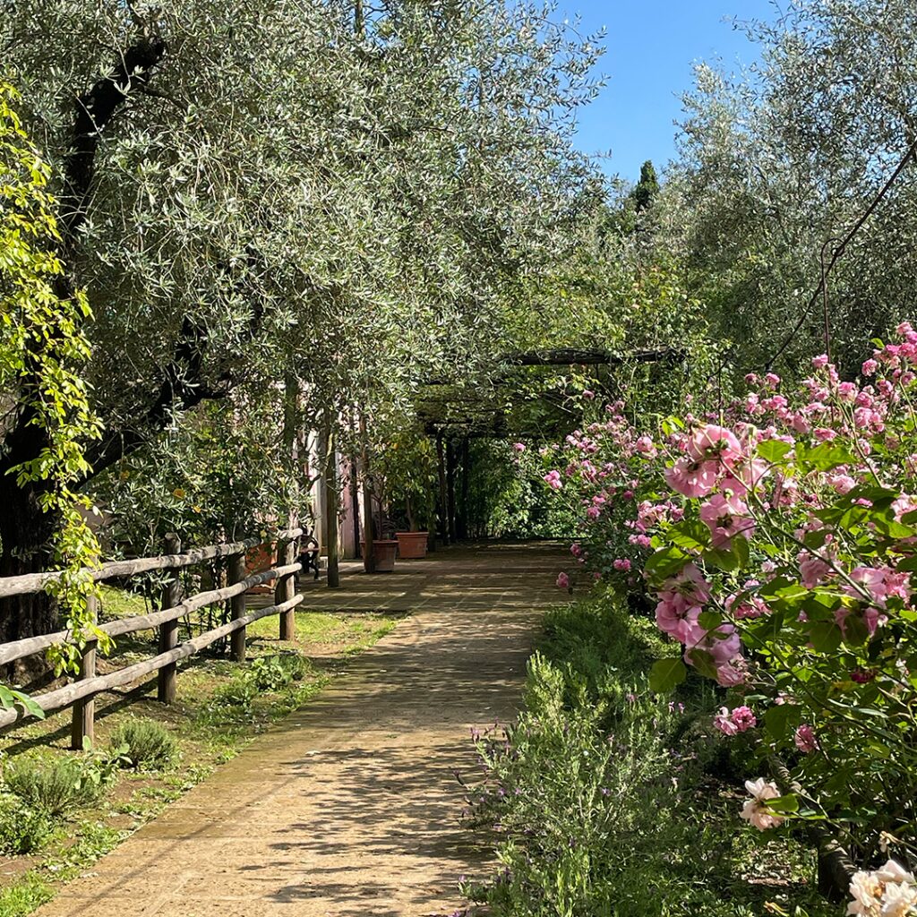 Casacocò country estate with olive trees